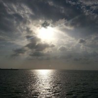 Rawan (@rawanlafi22) 's Twitter Profile