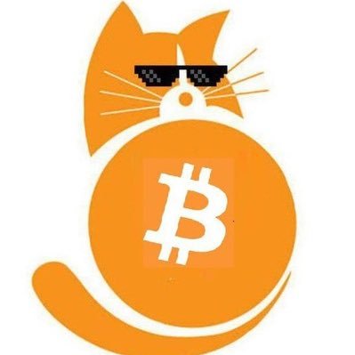 bitcoin cat
