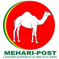 Mehari - Post(@MehariPost) 's Twitter Profile Photo