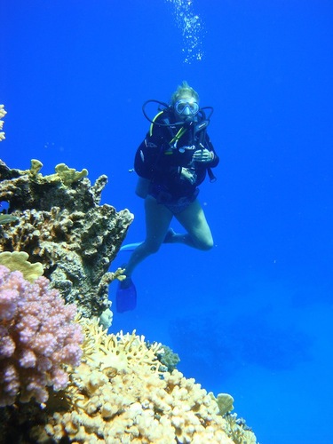 poola_g's profile picture. Love to travel, experience other cultures, scuba, beaches, outdoors, camping, adventuring, live music, photo journaling