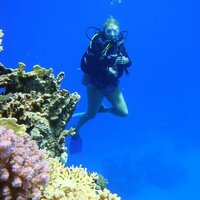 Paula Gallagher (@poola_g) 's Twitter Profile