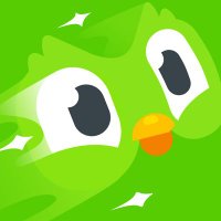 Duolingo Germany (@duolingoger) Twitter profile photo