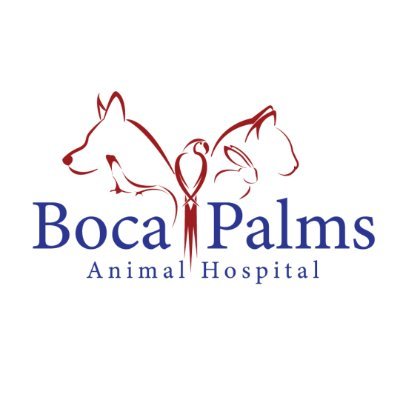 BocaPalmsAnimal Profile Picture