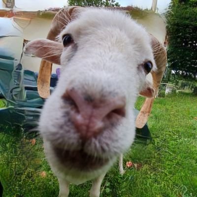 Tant va la cruche à l'eau qu'à la fin elle n'amasse pas mousse.