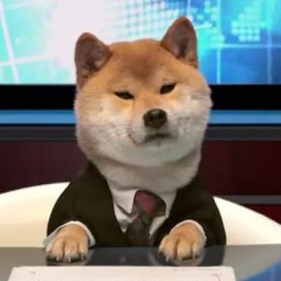 kkiang's profile picture. Journalist