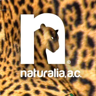 Naturalia_AC Profile Picture