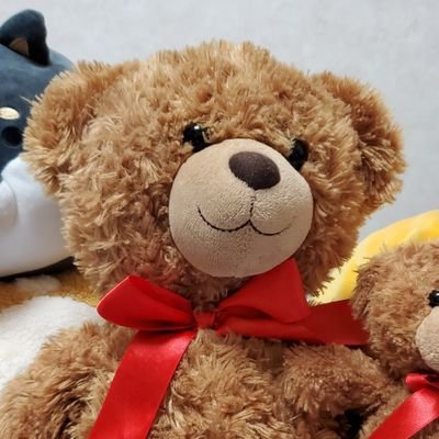 K78510571's profile picture. 