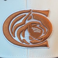 CienegaBaseball (@cienegabasebal1) 's Twitter Profile