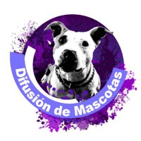 Difusión de mascotas(@mascotasdifunde) 's Twitter Profile Photo