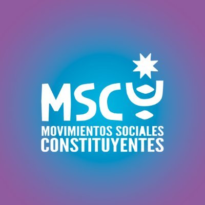 Somos una articulación popular que reúne a Asambleas, Organizaciones, Cabildos y otras agrupaciones a lo largo del territorio nacional y migrantes.