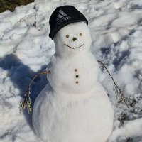 Saroor 🇵🇸🔻🆓️Uyghur (@nfsatsutz) 's Twitter Profile Photo