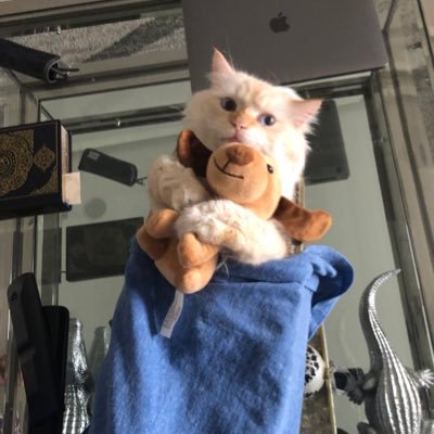 GCHOMP's profile picture. i do stuff