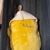 kpbr (@kpbr12) 's Twitter Profile