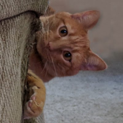 HynesM1028's profile picture. 