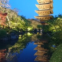 西武バスユニオン 小さなたまねぎ戦士 (@onion_warriors) 's Twitter Profile