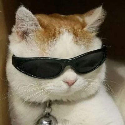 agosbainotti's profile picture. 