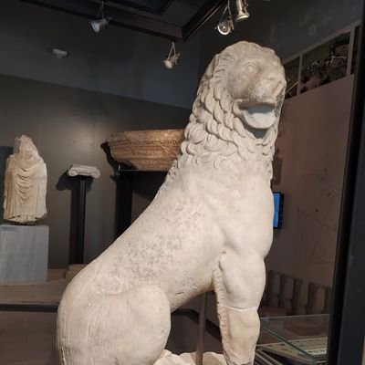 Nikos24935905's profile picture. 