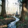 nu_agr_seikan's profile picture. 名古屋大学農学部 生物環境科学科の公式アカウント、学科教員数名により運営。大学受験・大学院受験を目指す高校生～大学生向けに、学科内の最新研究、講義・実験実習などを紹介します。
