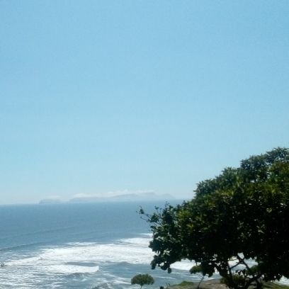 Economía,programación,historia, bicicleta ,naturaleza 🌴🌊
