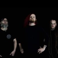 Pteroglyph (@pteroglyph) 's Twitter Profile