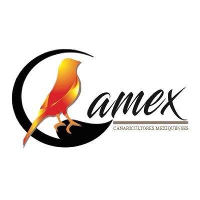 Somos un equipo de canaricultores del Estado de México