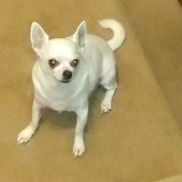 πΊπ² Bernadette πΊπ² (@mmichael6797) 's Twitter Profile