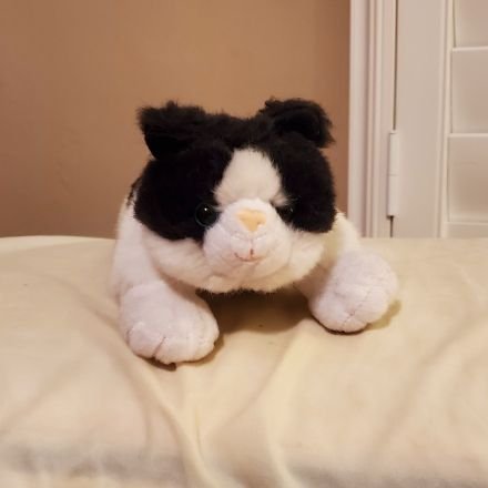 VirzinZodin's profile picture. I'm just a cat gamer. 🔞🐱🎮 I love watching animes and vtubers. I play Nintendo, Xbox, and PC games. 💫🌴💀 I love cats too. 🐱