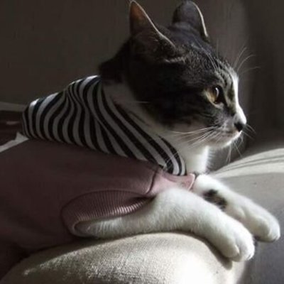 kjnmtm's profile picture. AI Lab / Solution Consulting Manager　
Opinions are my own.