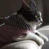 kjnmtm's profile picture. AI Lab / Solution Consulting Manager　
Opinions are my own.