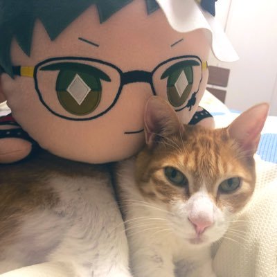 ぴすちゃん低浮上さんのプロフィール画像