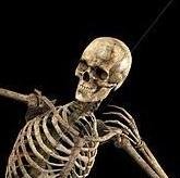 Tomatron32's profile picture. Bio