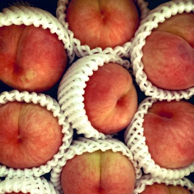 onakagaguuu____'s profile picture. 3歳児👧5歳児👧 ０歳児👶。三姉妹ママです。パン作りがストレス発散。体にいいもの食べたい。来年はフルタイム復帰。夫婦ともに教員です。   在外チャレンジするぞ！！！