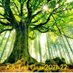 Ash Tree Class (@mrsboultonlw) Twitter profile photo Ash Tree Class (@mrsboultonlw) Twitter profile photo