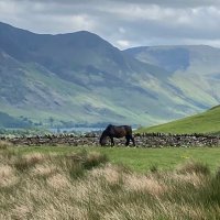 Louise Kenworthy (@louisekenworthy) Twitter profile photo