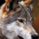 Darryl Kelley - @mauibound_ - Twitter