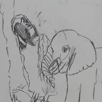 WU7XSDpN8EVwSNG's profile picture. 