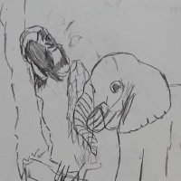 たみこ (@wu7xsdpn8evwsng) 's Twitter Profile