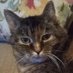 B 😸♥️😺 (@geekknowledge) Twitter profile photo B 😸♥️😺 (@geekknowledge) Twitter profile photo