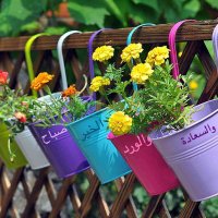 محمد عبد الفتاح (@eplo2iw7djp0ubc) 's Twitter Profile