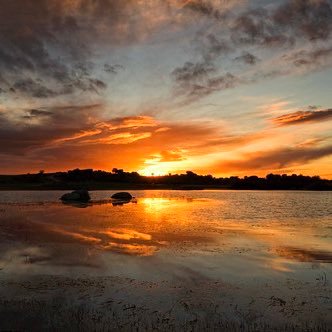 carron_marta's profile picture. Filóloga. La verdad os hará libres. No como animales #NoNosCallarán #8M