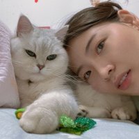 Siya Ma (@jenniema16) Twitter profile photo
