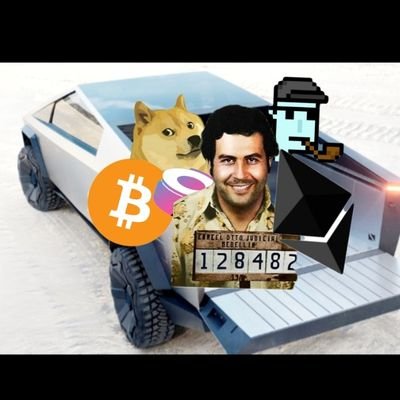 PabloTeslacar's profile picture. 