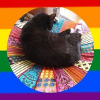 Katz muss sein! https://troet.cafe/@katzmusssein (@mussdassein8) 's Twitter Profile