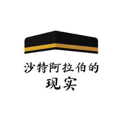 RKSA_zh's profile picture. 项目展示了沙特阿拉伯王国的宗教和道德现实以及相关事件
