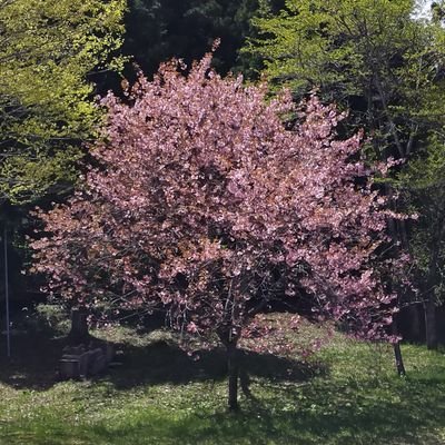 jZRY8ZErvbZIuGm's profile picture. 