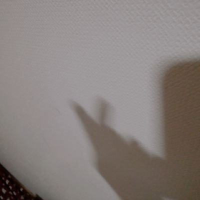 くむのさんのプロフィール画像