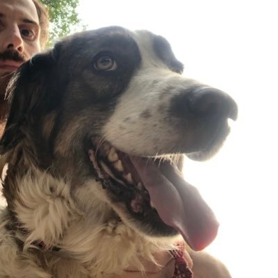 DaviDSeeba's profile picture. 