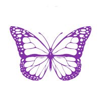 Stop Violències Andorra (@stopviolencies_) 's Twitter Profile