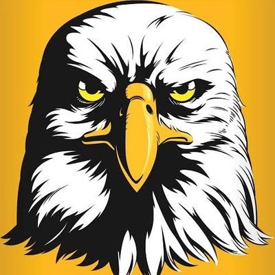 FrankytheFalcon's profile picture. It's all about consistency and patience⌛