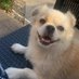 Manciu Andrei ๐ท๐ด (@andrei_manciu8) Twitter profile photo Manciu Andrei ๐ท๐ด (@andrei_manciu8) Twitter profile photo
